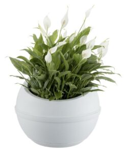 Alternative view of Bama Sfera Bloempot 23L 40.5x32 cm Wit