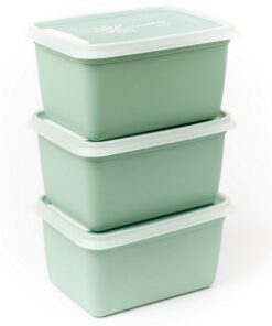 DBP Alaska Diepvriesdozen Rechthoekig 1L 3 Stuks Mintgroen