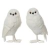 Decoratie Uil 14x13x25 cm Wit Assorti