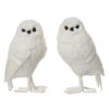 Decoratie Uil 9x8x15 cm Wit Assorti