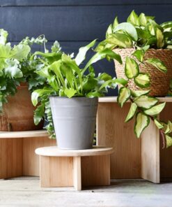 Alternative view of Esschert Design Bamboe Plantentafeltje 18x8.5 cm