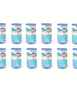 Intex 29000 Filter Cartridge Type A 12 Stuks voor Zwembad 244/305/366 cm