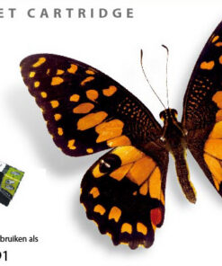 Kangaro SL-11411231 Cartridge SecondLife Epson 29 XL Zwart (T 2991)