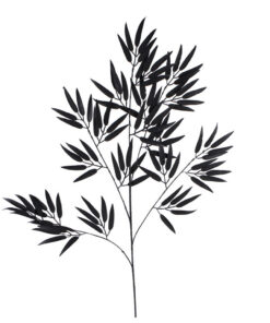 Kunstblad Bamboo Spray Mat Zwart 98cm