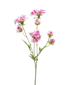 Kunstbloem Paarse Verbena 68 cm