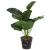 Mica Decorations Kunstplant Calathea In Pot Groen 40 Cm