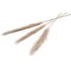 Pampas Kunstbloem 150 Cm Set Van 3 Naturel