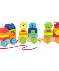 Pintoy 4 Friends Houten Blokken Trein