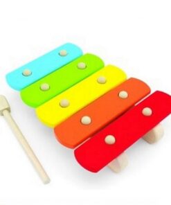Pintoy Basic Xylofoon Bright