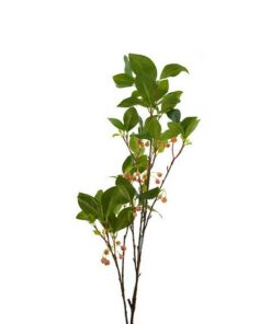 Pronkklokje Tak 110 cm Groen/Roze