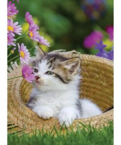 Alternative view of Ravensburger Puzzel Poezen 2x500 Stukjes