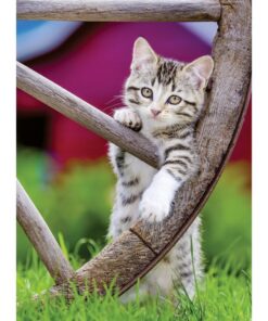 Ravensburger Puzzel Poezen 2x500 Stukjes