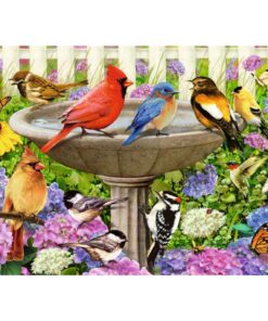 Ravensburger XXL Puzzel Bij het Vogelbadje 500 Stukjes