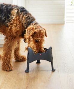 Alternative view of Rotho Sammy Verstelbare Voederbak 1.02L Antraciet