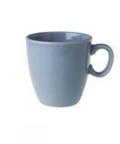 Royal Boch Fleurs Senseomok 23Cl Blauw