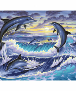 Schilderen Op Nummer Dolfijnen