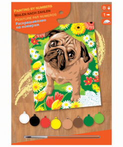 Schilderen Op Nummer Pug Dog