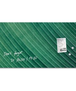Sigel SI-GL371 Glasmagneetbord Artverum Palm Leaf 91x46 cm Groen