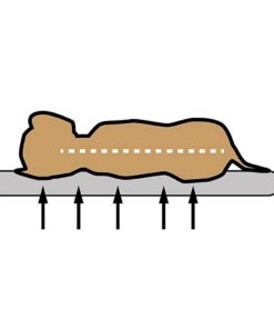 Alternative view of Sun Garden Buddy Orthopedisch Hondenkussen 72x50x8cm Beige/Gemeleerd