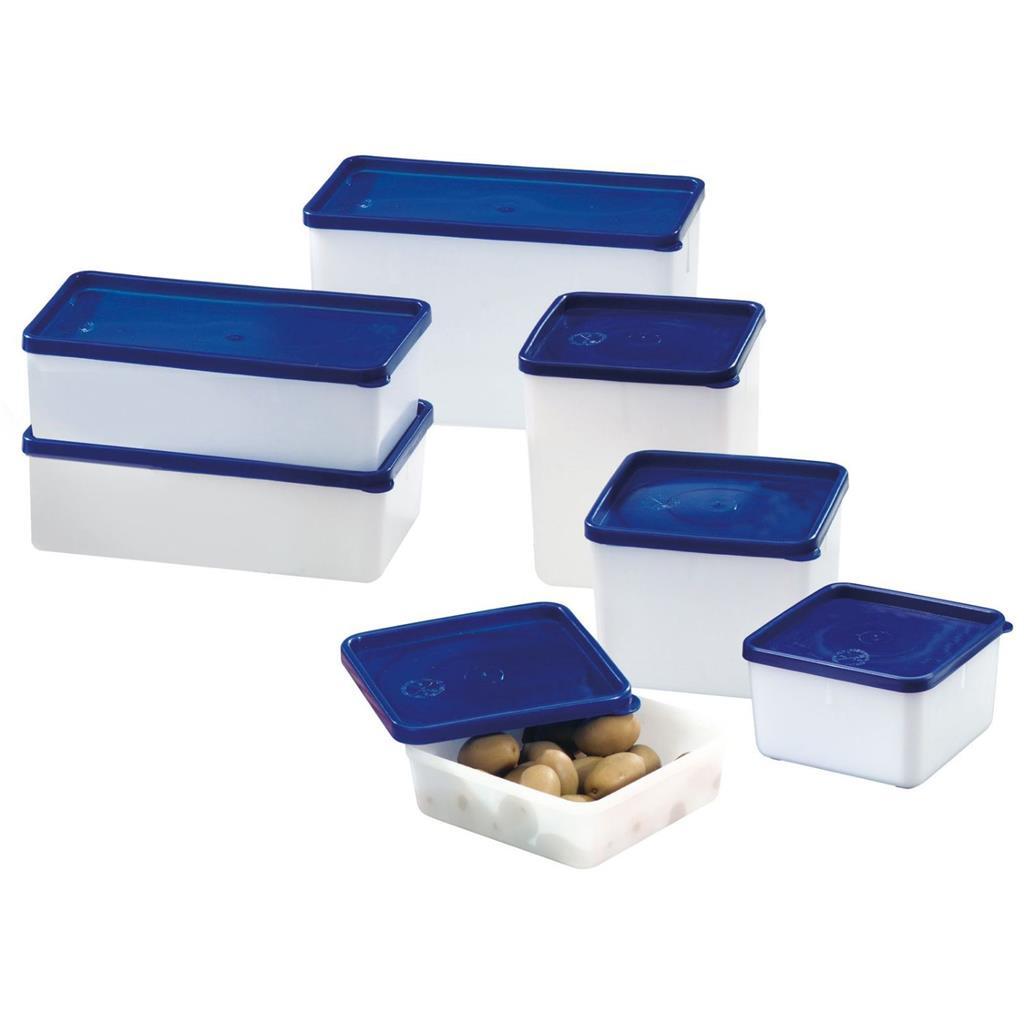 Westmark Diepvriesdozen 0.75L 3 Stuks Blauw/Wit - Afbeelding 2