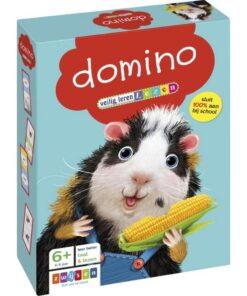 Zwijsen Veilig Leren Lezen Domino